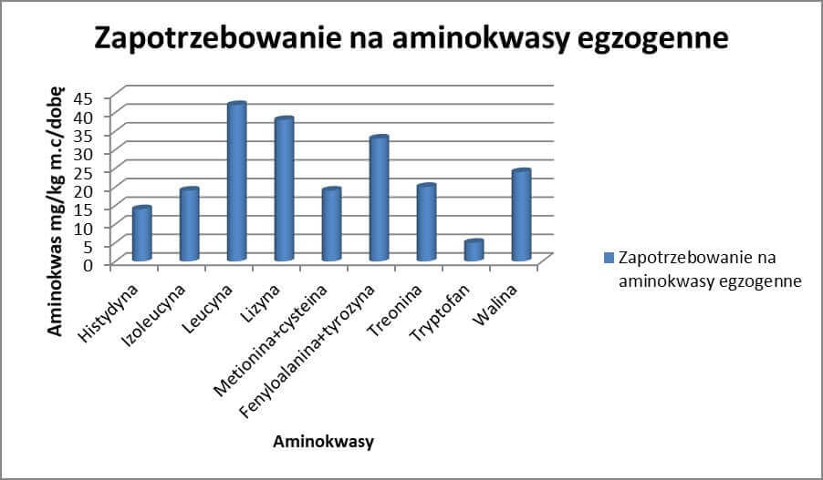 dieta bialkowa