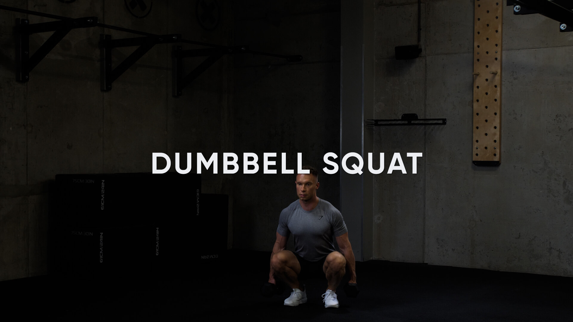 Zdjęcie ćwiczenia Dumbbell Squat
