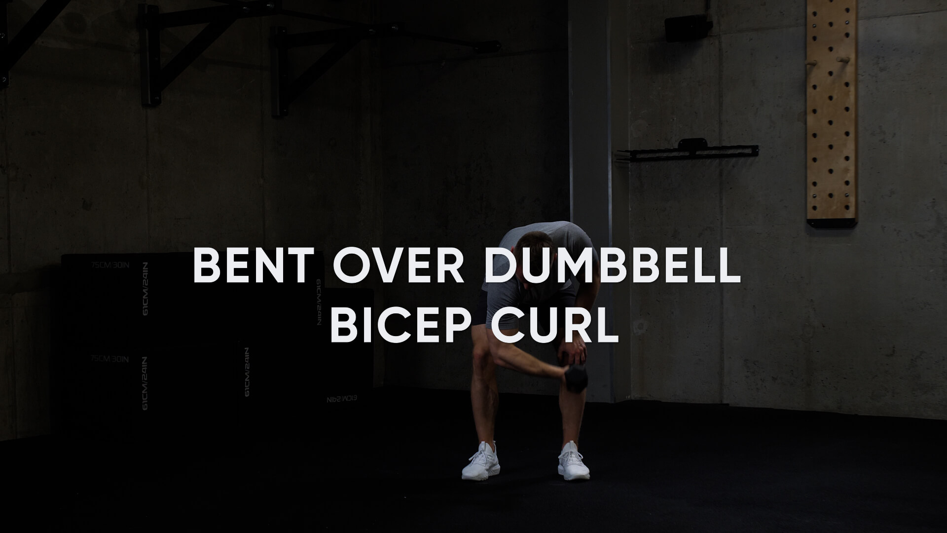 Zdjęcie ćwiczenia Bent Over Dumbbell Bicep Curl