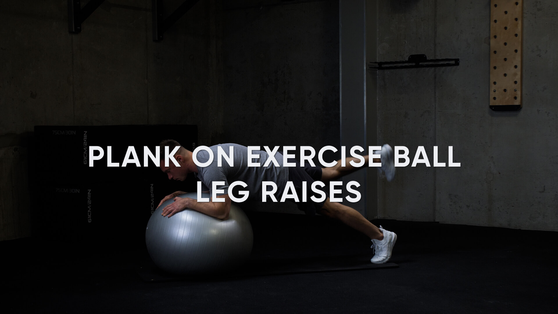 Plank on Exercise Ball Leg Raises Atlas ćwiczeń Centrum Respo