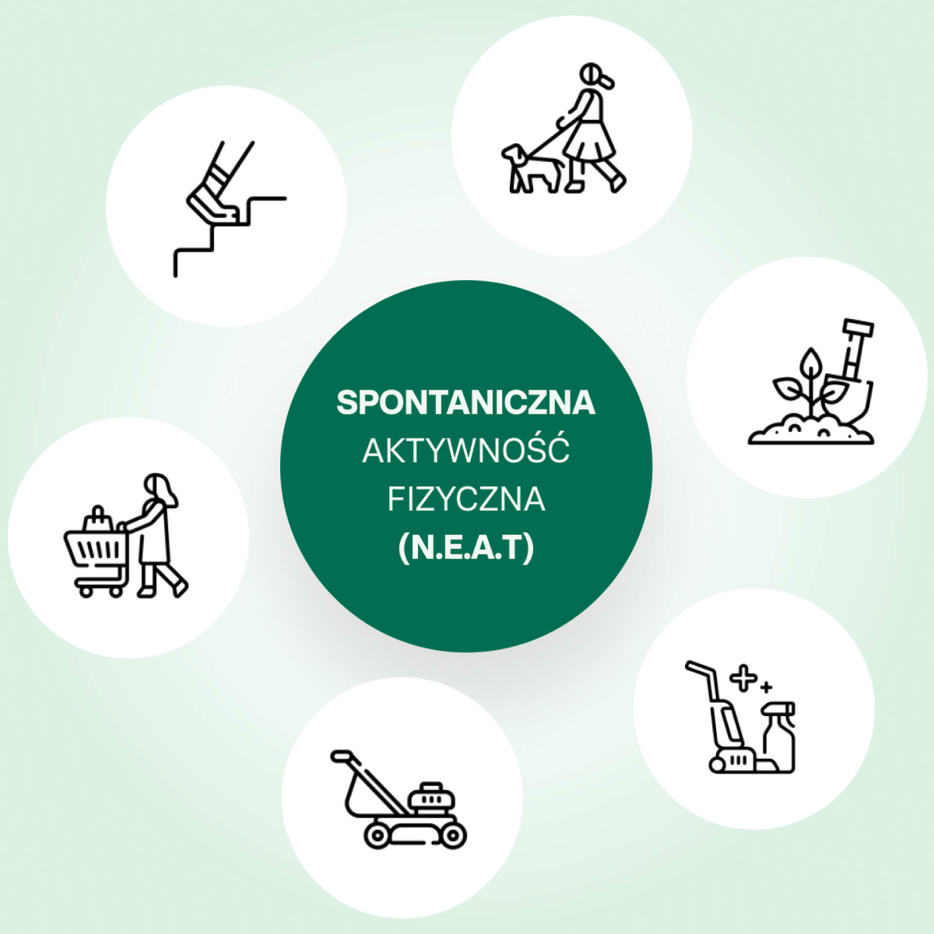 Spontaniczna aktywność fizyczna NEAT
