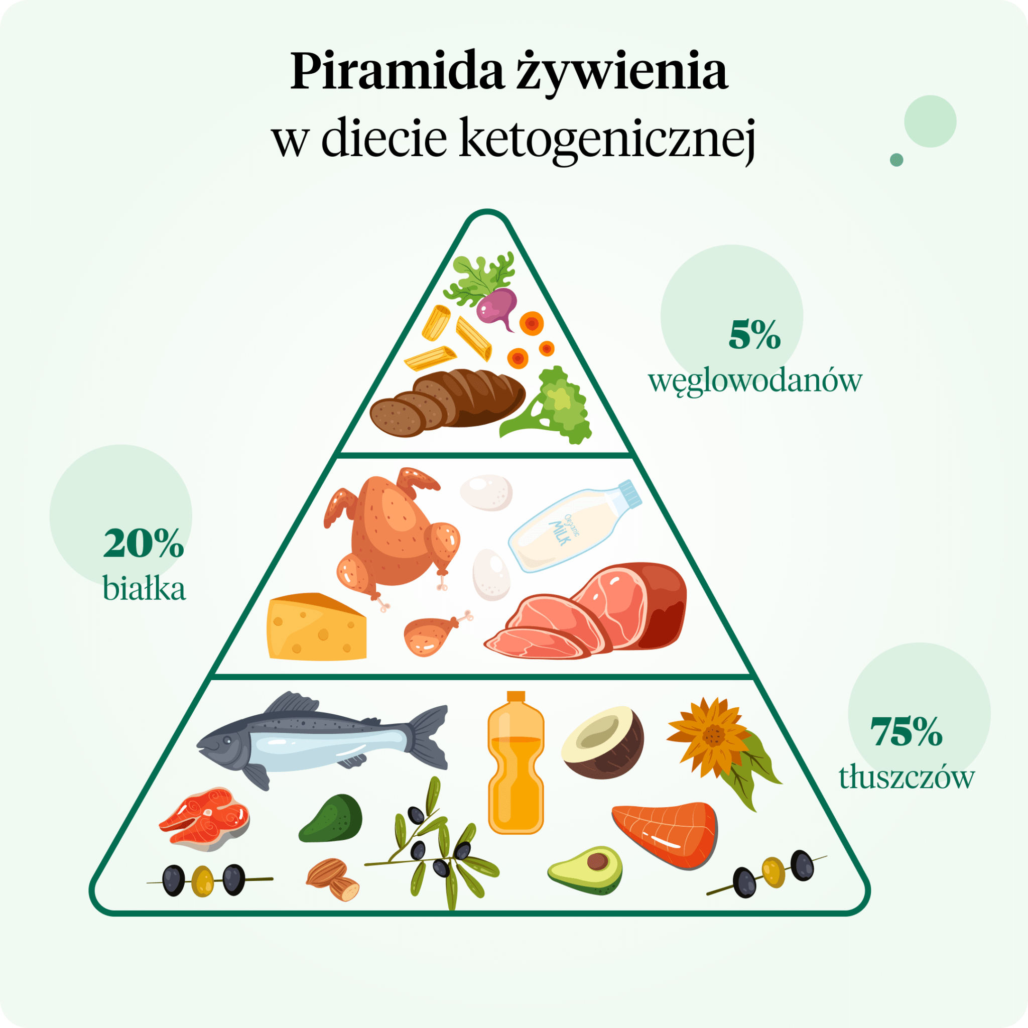 Keto piramida żywienia